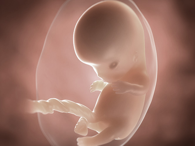 4 weeks,4 weeks